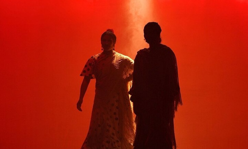 Image 12: Entrada al espectáculo flamenco en el Teatro Ayuntamiento de Barcelona