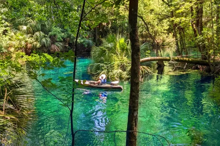 Silver Springs Jungle Kayaking and Paddleboarding