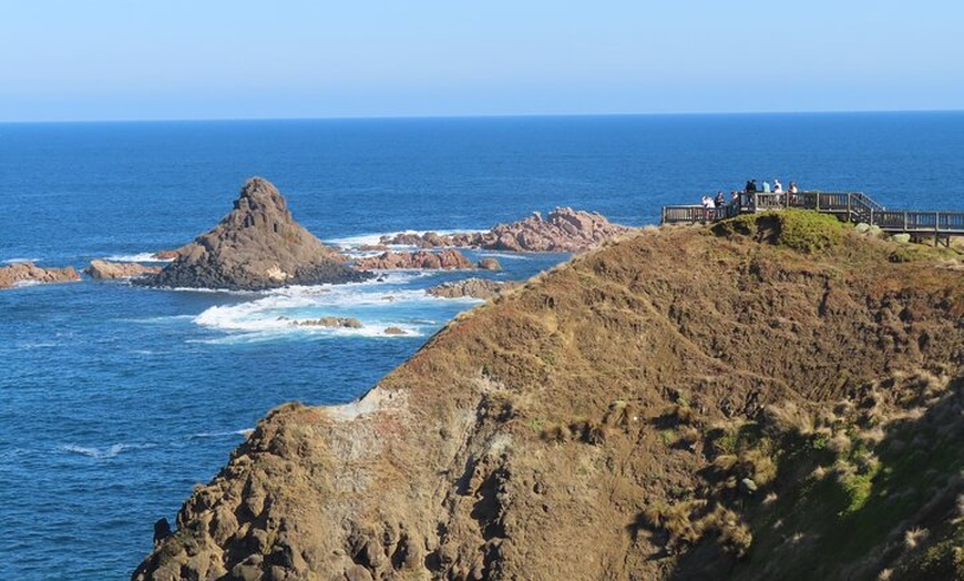 Image 9: Phillip Island Penguin Parade and Wildlife Tour from Melbourne