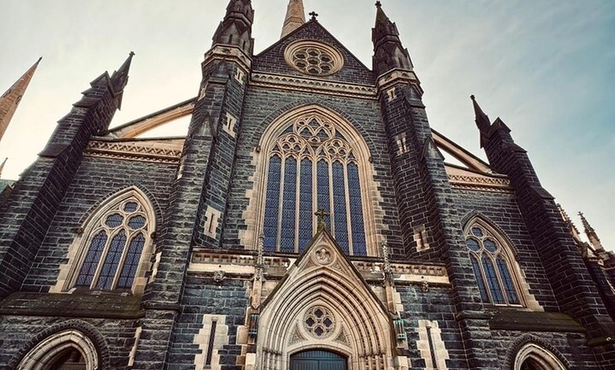 Image 20: Best of Melbourne City & Wildlife Sanctuary for Cruise Passengers