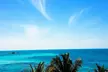 Private Full-Day Tour of Florida Keys from Miami/FLL to Key West - Second Medium