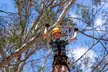 Take the Challenge and Conquer the Salisbury Treetops - Image 3