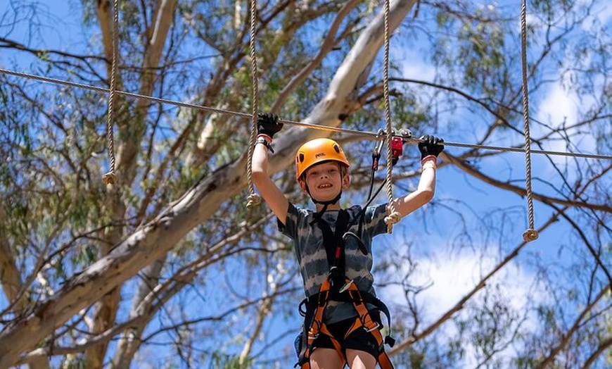 Image 3: Take the Challenge and Conquer the Salisbury Treetops
