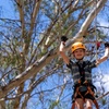 Image 3: Take the Challenge and Conquer the Salisbury Treetops