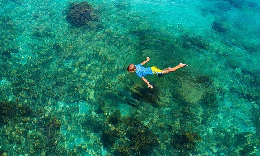 Image 8: Croisière à Bonifacio et Snorkeling aux îles Lavezzi