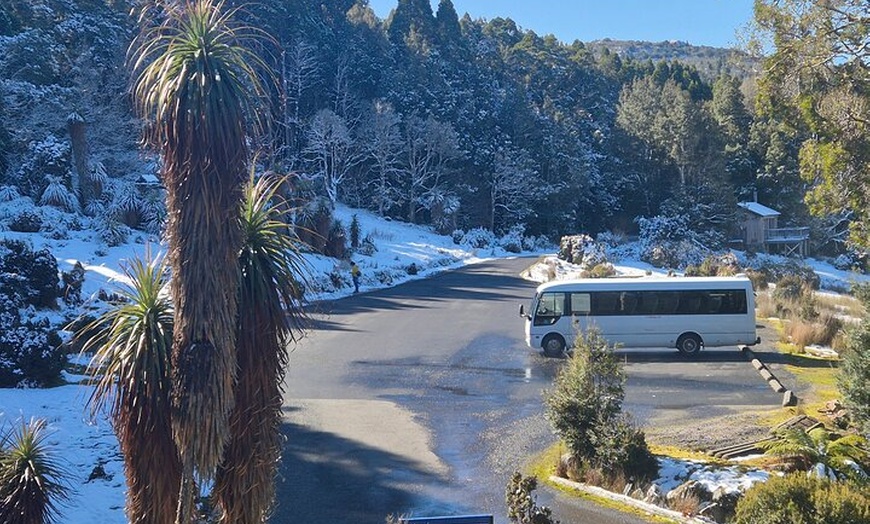 Image 3: Cradle Mountain Half Day Park Explorer Tour with Lunch