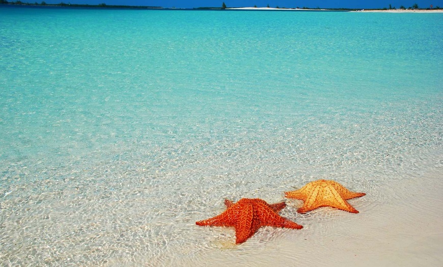 Image 23: ✈ CUBA | Varadero - Iberostar Origin Bella Vista & Escursione di un...