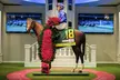 Kentucky Derby Museum - General Admission and Guided Track Visit - Second Medium