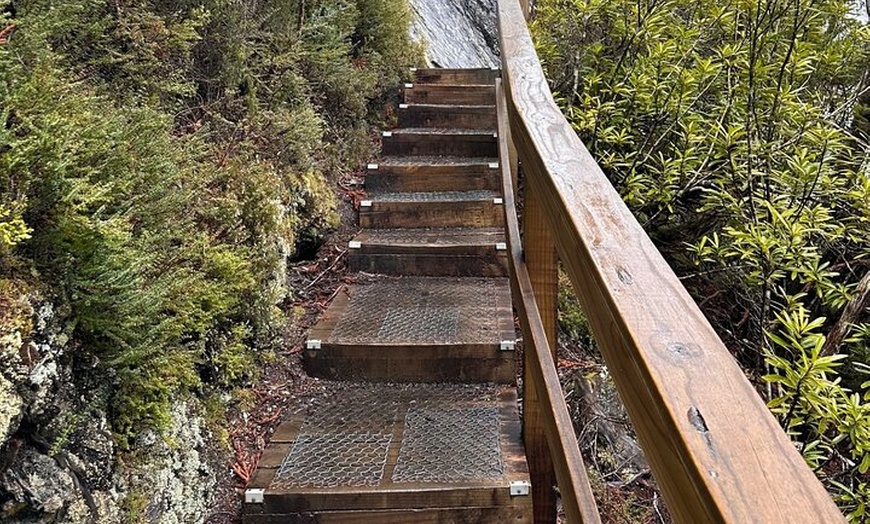 Image 5: Cradle Mountain Half Day Dove Lake Guided Tour with Lunch