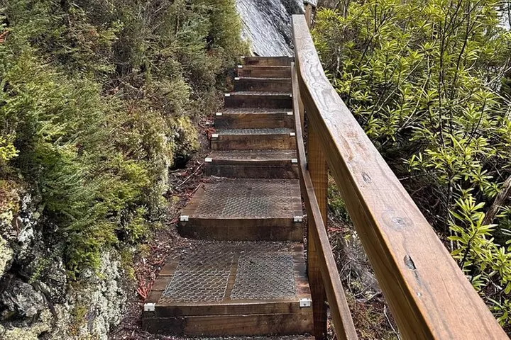 Cradle Mountain Half Day Dove Lake Guided Tour with Lunch