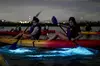 Bioluminescent Bay Kayak Tour in Fajardo Puerto Rico