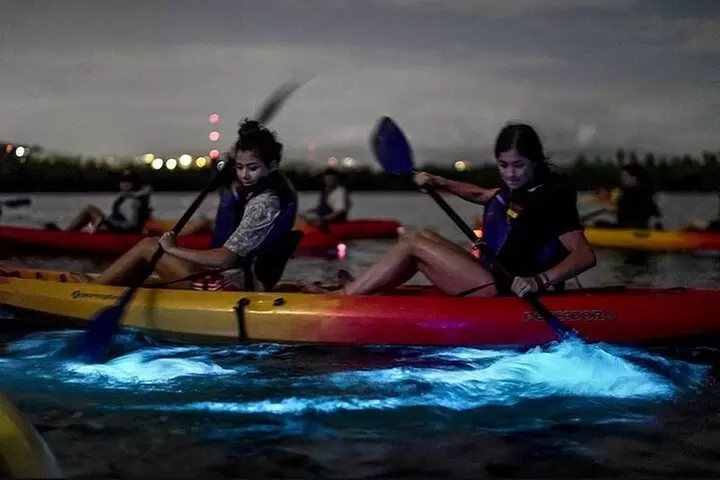 Bioluminescent Bay Kayak Tour in Fajardo Puerto Rico - Primary Image