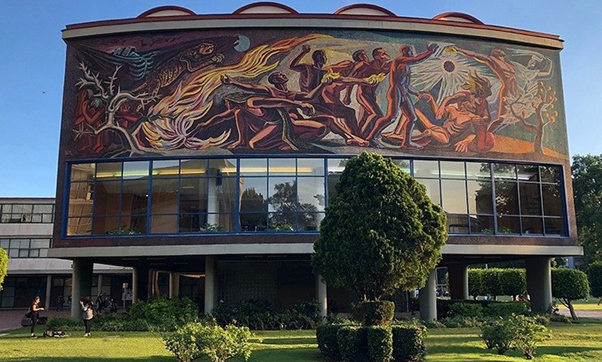 Image 10: Xochimilco floating gardens, Coyoacan and UNAM murals