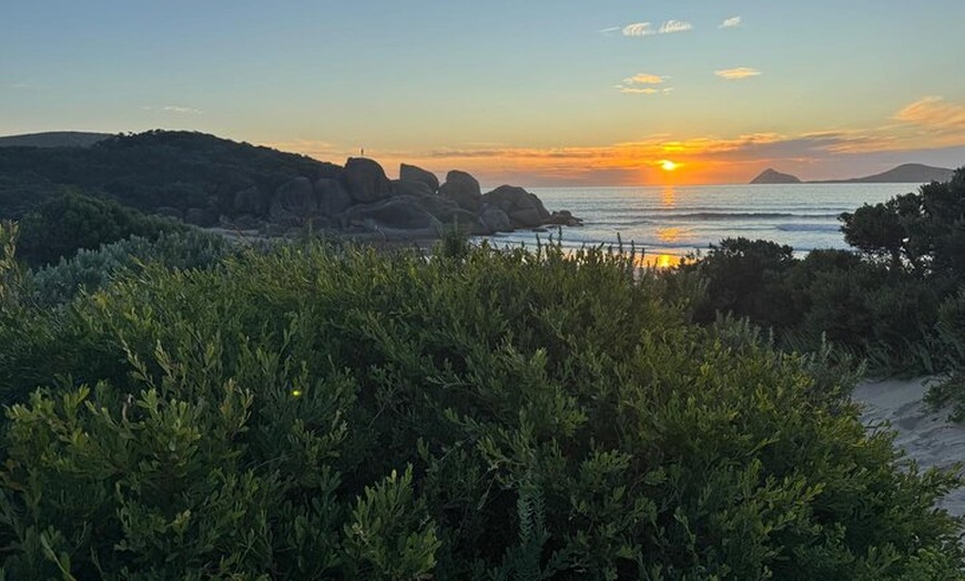 Image 3: Melbourne: Private Wilson Promontory National Park Day Tours