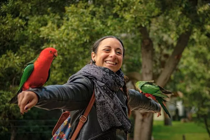 Great Ocean Road Full-Day Sunset Eco Tour from Melbourne