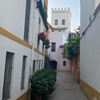 Image 22: La Judería Oculta – La Antigua Sefarad en Sevilla