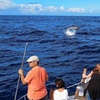 Image 11: Tour Avistamiento Ballenas y Delfines en Barco de grupo reducido