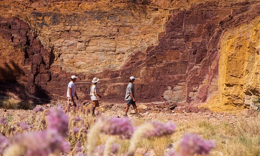 Image 10: 4 Day Tour in Red Centre Alice Spring to West MacDonnell