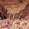 Image 10: 4 Day Tour in Red Centre Alice Spring to West MacDonnell