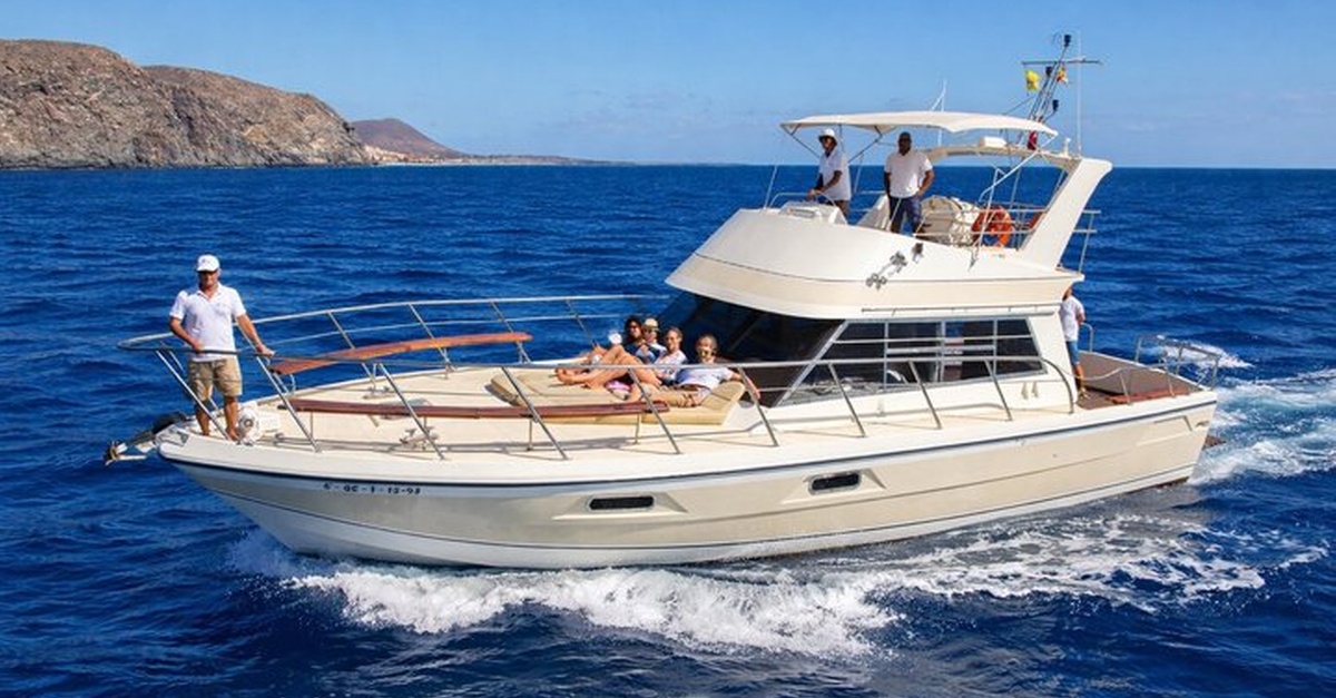 Tour compartido en yate para avistar ballenas en Tenerife