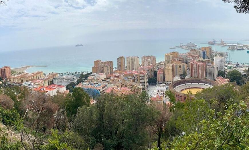 Image 5: Descubre Málaga Tour Privado de 60 Minutos en Tuk tuk