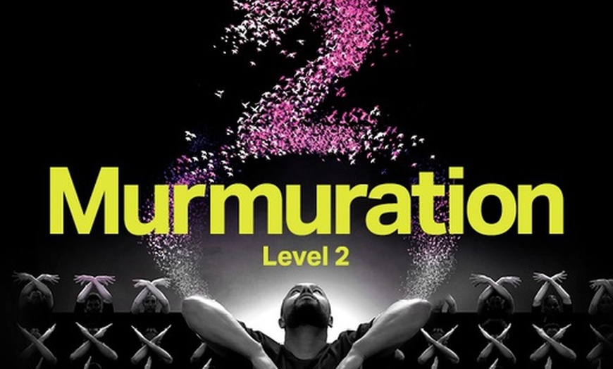 Image 1: Tickets to see Murmuration, Sadeck Berrabah