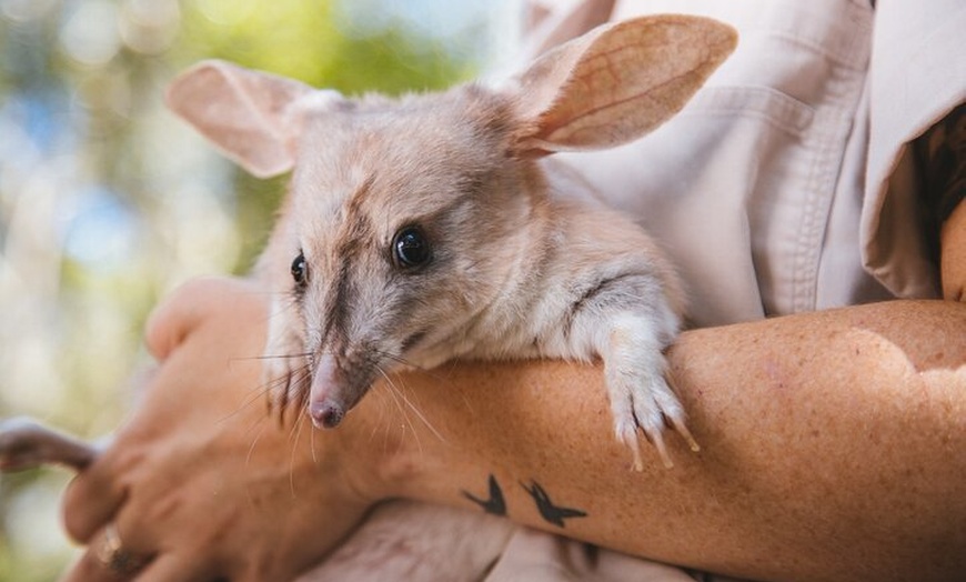 Image 6: Dreamworld Gold Coast 1-Day Pass – Thrills & Wildlife Encounters