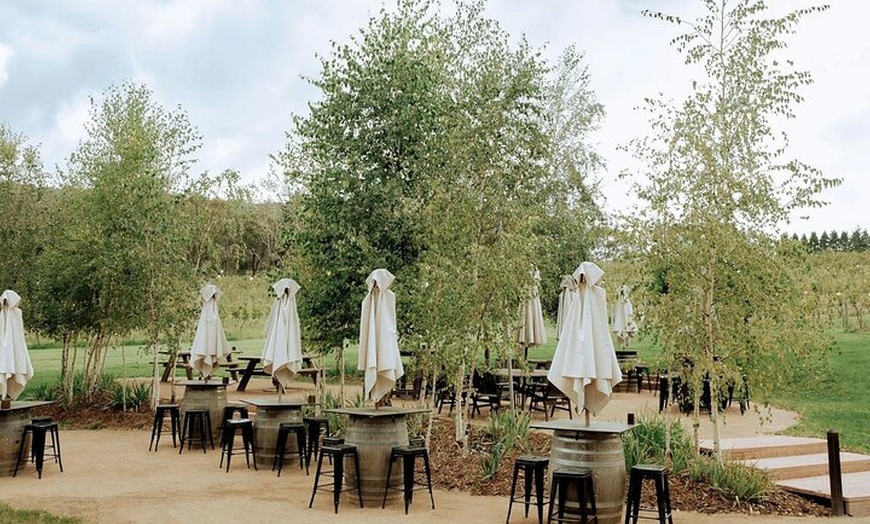 Image 5: A Day In The Vineyards || Luxury Private Winery Tour From Sydney