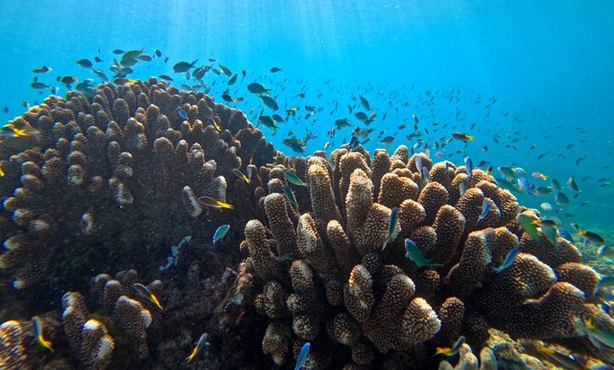 Image 2: Cairns Great Barrier Reef Snorkel and Flight Adventure