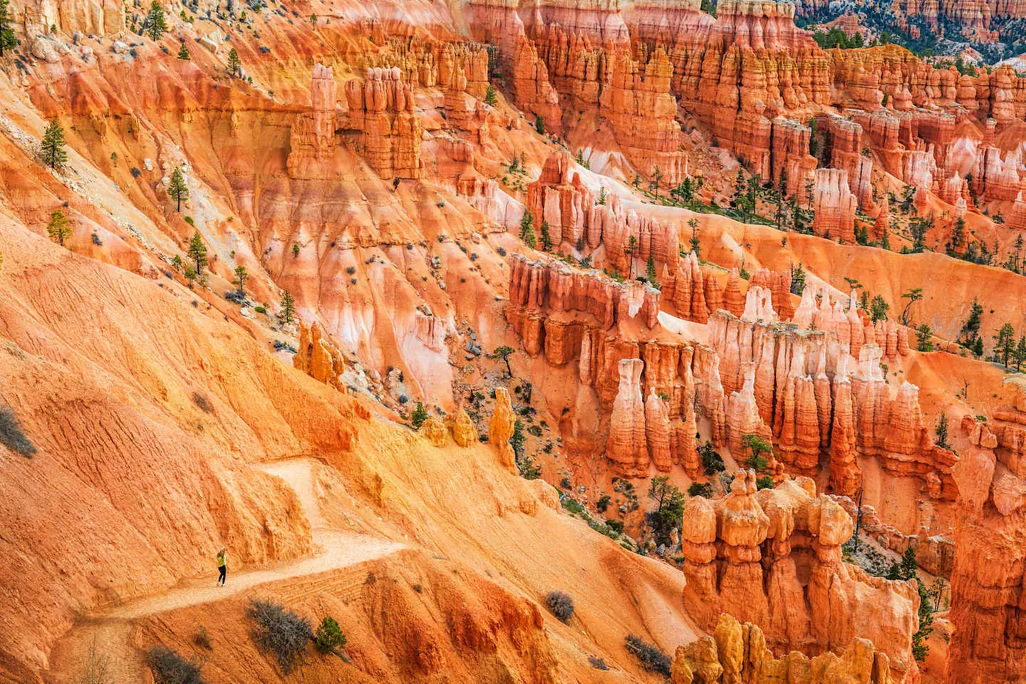 ✈ STATI UNITI | Da San Francisco a Los Angeles - Il grande tour del...