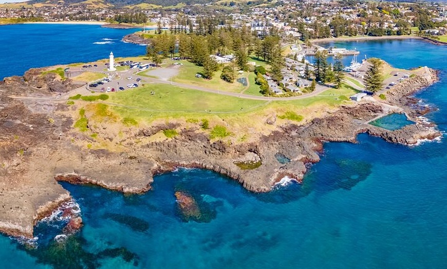 Image 7: Kiama Coastal Day Tour in Sea Cliff Bridge Blowhole and Wildlife