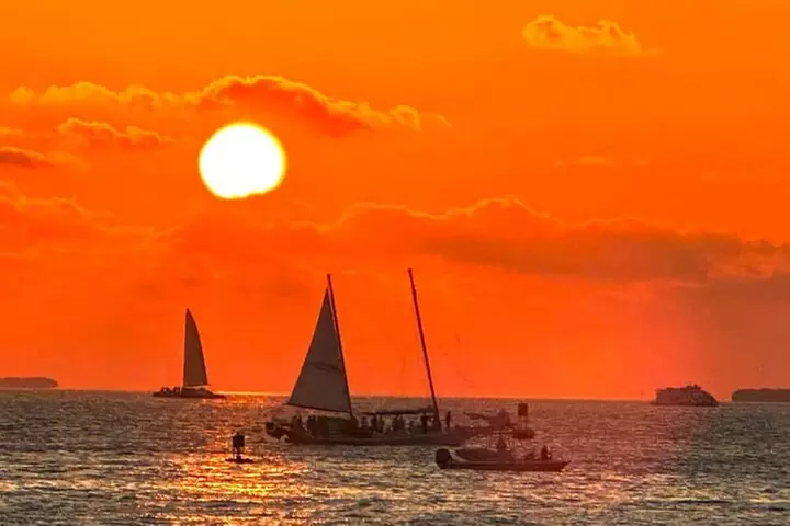 Private 2-Hour Dolphin and Sightseeing Tour