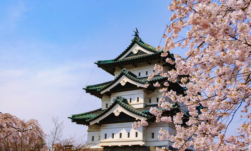 Image 34: ✈ JAPON | De Sapporo à Tokyo - A la découverte de Hokkaido 3* - Cir...