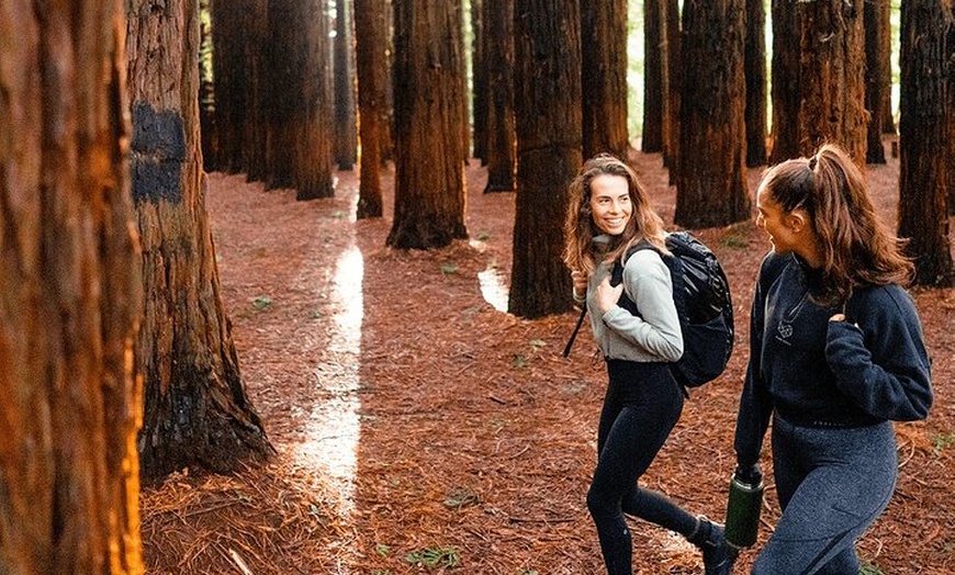 Image 5: Yarra Valley Small Group | Redwoods, Wildlife, Winery & Chocolate