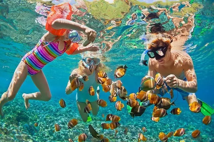 Honolulu Sailing and Snorkeling Activity - Primary Image