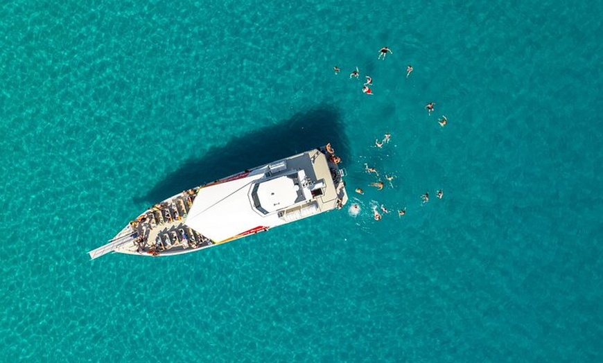 Image 13: Dolphin Adventure : Avistamiento de Delfines en Barco Rápido en Mal...