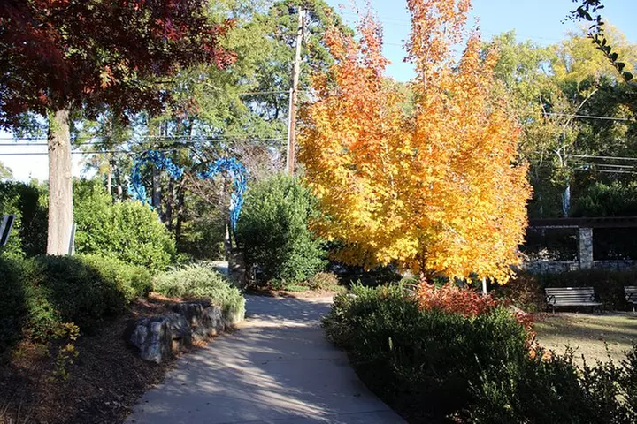 The 2 Hour BYOB Greenville City Cycling Tour - Primary Image