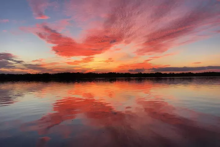Wildlife Tour of Indian River Lagoon with Experienced Captain