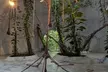 Tulum Instagram Giant Sculpture, Cenote Attik and Azulik Uh May - Second Medium