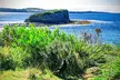 Erupting Blowholes and Ancient Rainforests SOUTH COAST OF SYDNEY PRIVATE TOUR - Image 4