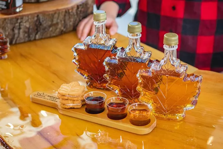 Niagara Falls Tour: Boat Ride, Journey Behind The Falls and more