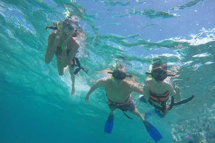 Afternoon Half-Day Catmaran Sailing and Snorkel Adventure