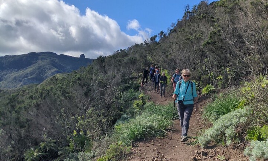 Image 8: Hidden Tenerife - Reserva Anaga a pie