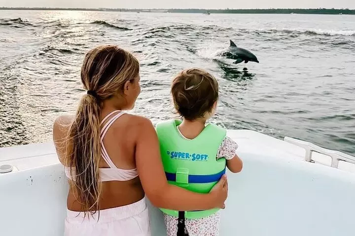 Dolphin Watching aboard the Cold Mil Fleet - Second Medium