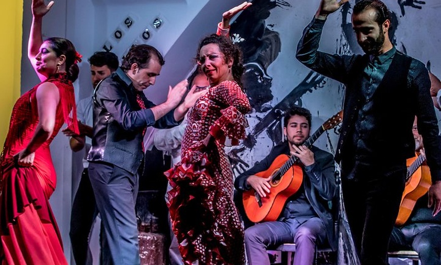 Image 5: Entrada para el espectáculo de flamenco en Los Gallos