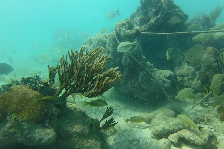 Florida Key Private Islands Exclusive Day Trip from Miami w/activ