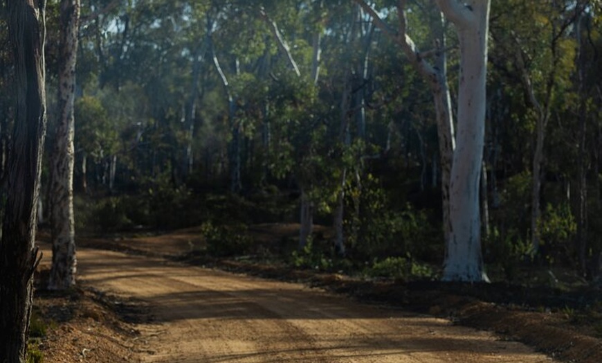Image 21: Australian Animal Night Safari