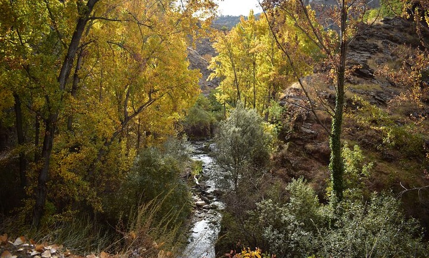 Image 4: Sendero del Tranvía de Sierra Nevada Una Ruta Histórica y Natural