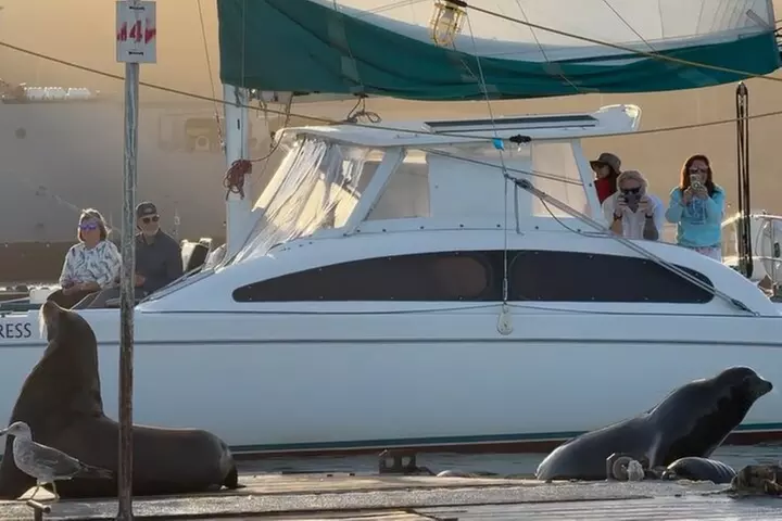2.5 Hours of Fun: Catamaran Sunset Sail