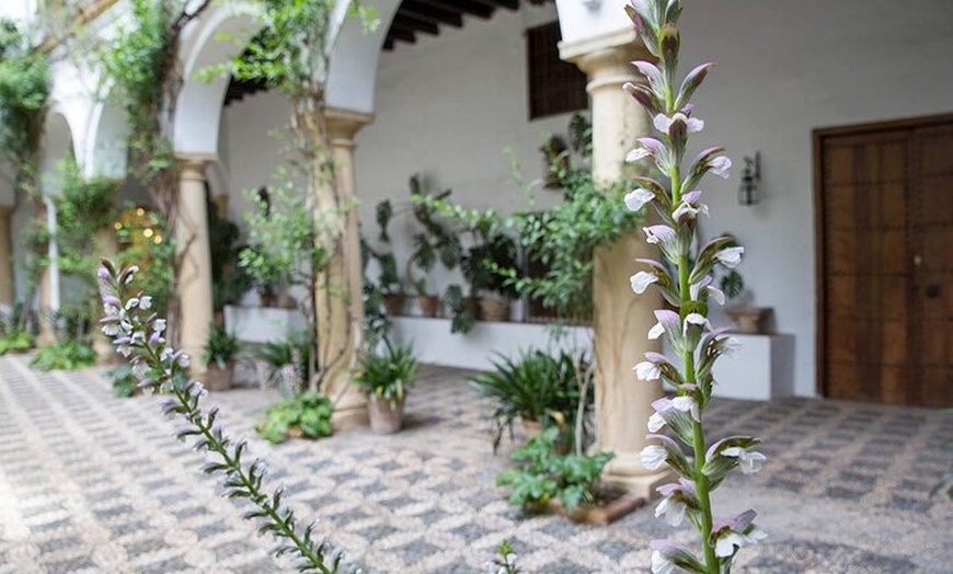 Image 5: Visita Guiada al Palacio de Viana